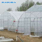 Hot-dip Galvanized Steel Pipe Structure Polythene Tunnel Plastic Greenhouse For Tomato