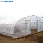 200 Micron PE Film Galvanized Tunnel Plastic Greenhouse For Growing