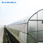 200 Micron Pe Film Greenhouse Agricultural Tomatoes Growing