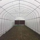 Agriculture Ventilation Greenhouse Exhaust Fan Cooling System