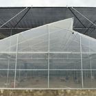 snow resistant Walk In Multispan Plastic Tunnel Greenhouse
