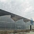 snow resistant Walk In Multispan Plastic Tunnel Greenhouse