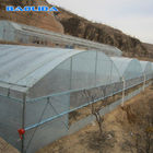 Agricultural Tunnel Growing 8m Multi Span Greenhouse