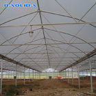 Clear 200 Micron PE Film Agricultural Greenhouse