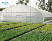 Side Ventilation Polyethylene Film Greenhouse Multi Span Vegetable Growing