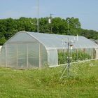 Anti Ultraviolet Large Scale Plastic Film Greenhouse