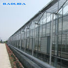 Flowers Front Ventilation Multi Span Greenhouse With Aluminum Frame