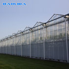 Plastic Covering Multi Span Greenhouse For Tomato Planting