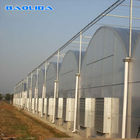 High Straight Wall Wind Resistant Multispan Greenhouse With Gutter