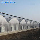 Multispan Greenhouse Cooling System with Top / Sides Ventilation
