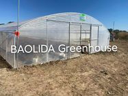 Economical Plastic Tunnel Vegetable Greenhouse Climate Control