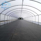 PE Film Tunnel Single Span Greenhouse Multi Latitude Non Soldering