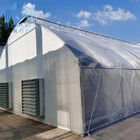 Black White Tunnel Single Span Greenhouse 150 Micron Film Covered No Welding