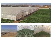 Small Pvc Material Plastic Film Greenhouse Industrial Hydroponic