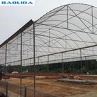 Multi Span Roof Ventilation Polyethylene Film Greenhouse For Farm