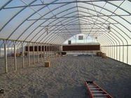 Steel Frame Single Span PE Film Greenhouse For Agriculture