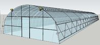 Hot Galvanized Steel Pipe Plastic Tunnel Greenhouse Agricultural