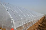 Single Span Vegetable Tunnel Plastic Grow House Agricultural Galvanized