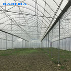 Excellent Strength Plastic Multi Span Greenhouse Single Layer