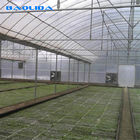 Excellent Strength Plastic Multi Span Greenhouse Single Layer