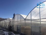 Multi Span Venlo Polycarbonate Greenhouse Single Layer