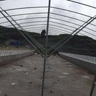 Double Arch Polyethylene Film Greenhouse Agriculture Multi Span Greenhouses