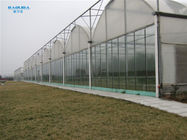 Hot Dip Galvanized Steel Plastic Multispan Greenhouse For Four Seasons Planting