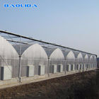 Prefabricated Tunnel Plastic Film Multispan Greenhouse