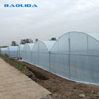 150 Micron PE Film Agricultural Greenhouse For Vegetable Fruit Growing