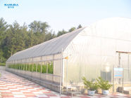 Galvanized Steel Frame Single Span Tunnel PE Film Greenhouse For Flowers Plant