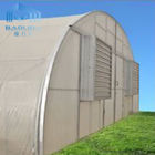 PE Film Side Ventilation Single Span Tunnel Greenhouses Galvanized Aluminized