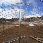 Galvanized Steel Frame Single Span PE Film Greenhouse For Agriculture