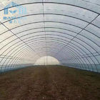Agricultural Single Span Polycarbonate Tunnel Strawberry PE Greenhouse