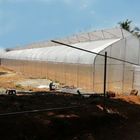 Vegetable Tunnel Plastic Film Greenhouse Single Span Hot Dip Galvanized
