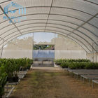Polyethylene Vegetable Tunnel Film Greenhouse Galvanized Single Span