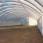 Agricultural Strawberry Plastic Tunnel Single Span Greenhouse 8-10m