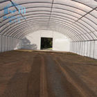 Agricultural Strawberry Plastic Tunnel Single Span Greenhouse 8-10m