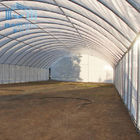 Single Span Vegetable Polythene Grow Tunnel Plastic Greenhouse Film Covered