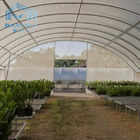 Single Span Vegetable Polythene Grow Tunnel Plastic Greenhouse Film Covered