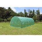 Polytunnel Walk In Greenhouse UV Protective With Polythene Cover