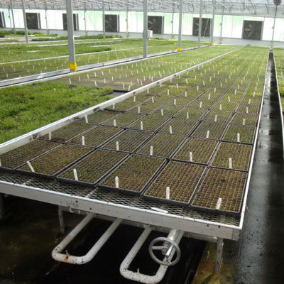 Quality  Modern Aluminum Greenhouse Ebb Flow Table With Drain Tray Valve factory