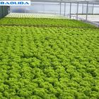A Type Tower Hydroponics System For Agriculture Greenhouse