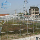 Single Span Side Ventilation Tunnel Greenhouse Customized With Cooling System