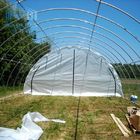 Customized Tunnel Single Span Greenhouse With Side Ventilation System