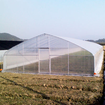Quality  High Strength Agricultural Poly Tunnel Tomato Greenhouse 5*15m 17*50ft factory