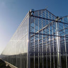 Single Span Agricultural Polycarbonate Sheet Greenhouse For Departs Tropical Greenhouse