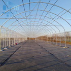 High Tunnel Agriculture Multi Span Arch PE Film Greenhouse for Tomato Strawberry