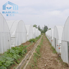 Hydroponic System Tunnel Plastic Greenhouse with Ventilation Insect Net