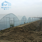 High Tunnel Steel Frame Galvanized Pipe Greenhouse For Plant Growing