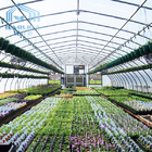 Side Ventilation Single Span Greenhouse For Agriculture Strawberry Growing